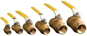 Manual Valve NPT